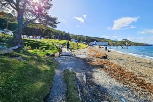 Ушуайя: частный тур по национальному парку Огненная Земля