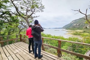 Ушуайя: частный тур по национальному парку Огненная Земля