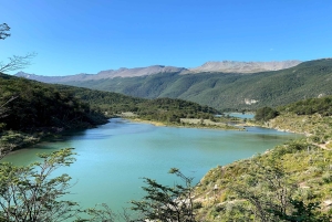 Ушуайя: частный тур по национальному парку Огненная Земля