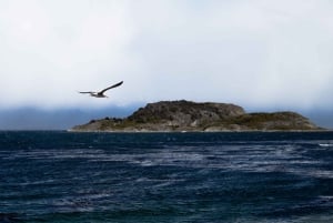 Ушуайя: частный тур по национальному парку Огненная Земля