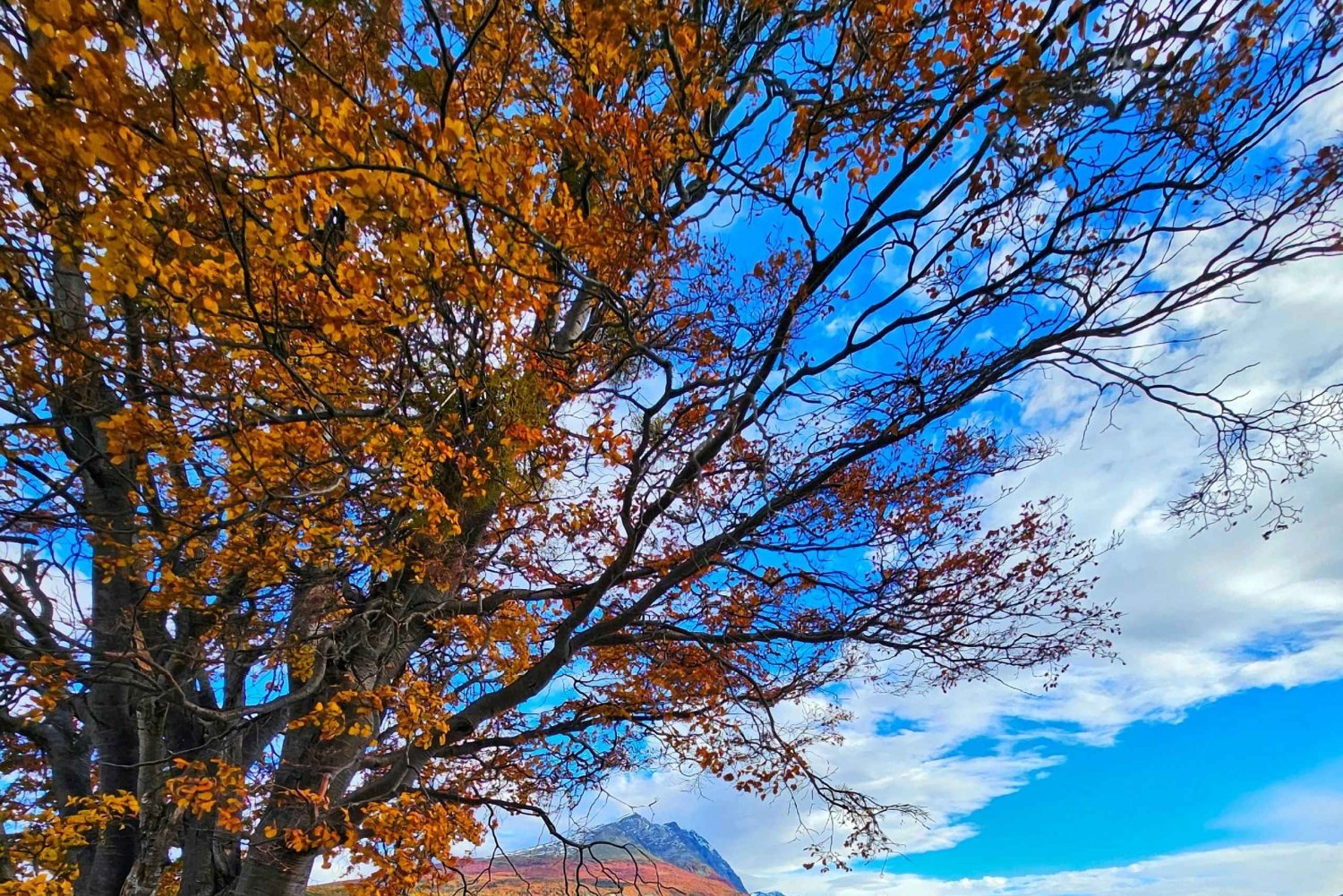 Ushuaia: Feuerland-Nationalpark Landausflug