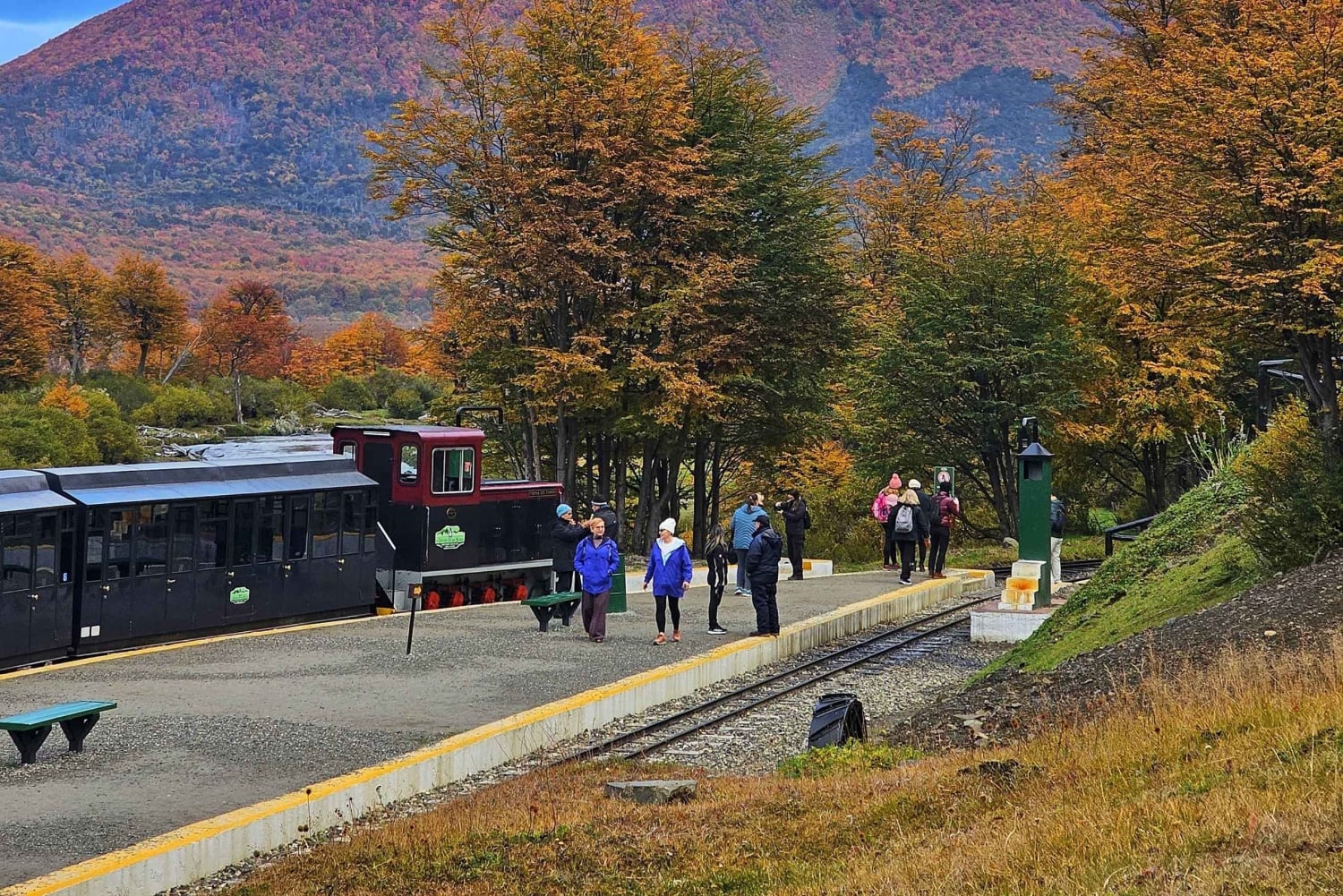 Ushuaia: Tierra del Fuego National Park Shore Excursion
