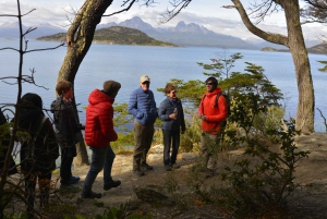 Ushuaia: Tierra del Fuego National Park Shore Excursion