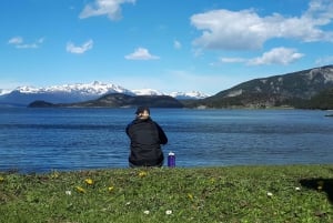 Ushuaia: Utflykt till Tierra del Fuego nationalpark på land