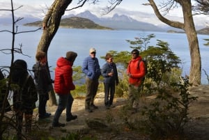 Ushuaia: Wycieczka brzegiem Parku Narodowego Ziemi Ognistej