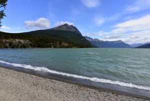 Ushuaia: Excursão pela Orla do Parque Nacional Terra do Fogo