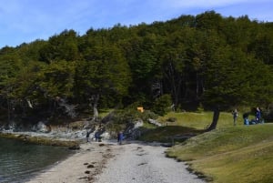 Ushuaia: kustexcursie Tierra del Fuego National Park