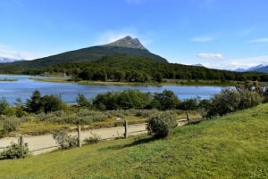 Ushuaia: Udflugt til nationalparken Tierra del Fuego på land