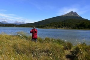 Ushuaia: Landausflug zum Nationalpark Tierra del Fuego