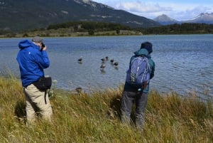 Ushuaia: Wycieczka brzegiem Parku Narodowego Ziemi Ognistej