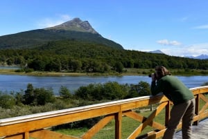 Ushuaïa : excursion côtière du parc national de Terre de Feu