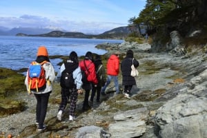 Ushuaia: escursione al parco nazionale Terra del Fuoco