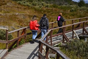 Ushuaia: Utflykt till Tierra del Fuego nationalpark på land