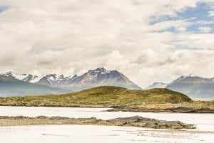 Ushuaia: escursione al parco nazionale Terra del Fuoco