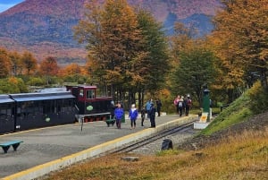 Ushuaia: Tierra del Fuego National Park Shore Excursion