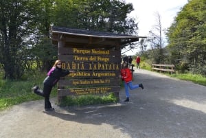 Ushuaia: Tierra del Fuego National Park Shore Excursion