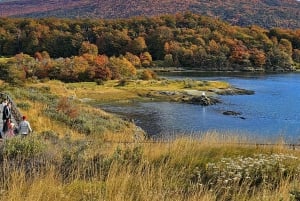 Ushuaia: Tierra del Fuego National Park Shore Excursion