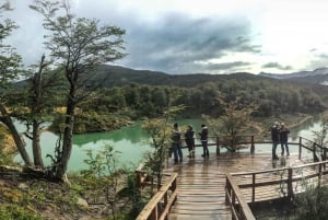 Ushuaia: tour a Parco Nazionale di Terra del Fuoco e pranzo