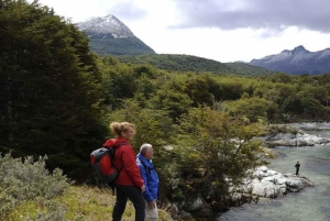 Ushuaia: parque nacional Tierra del Fuego y almuerzo