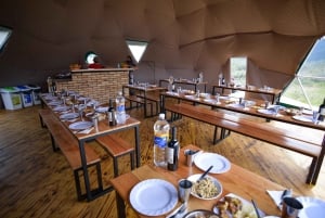Ushuaïa : parc national de la Terre de Feu et déjeuner