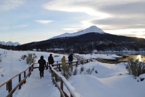 Ushuaia: Excursión al Parque Nacional de Tierra del Fuego