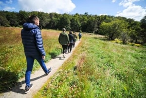 Ушуайя: тур по национальному парку Огненной Земли