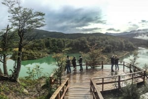 Ushuaia: Tierra del Fuegon kansallispuiston kierros