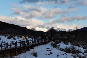 Ushuaia: Excursão ao Parque Nacional Tierra del Fuego