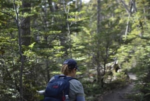 Ushuaia : visite du parc national de la Terre de Feu