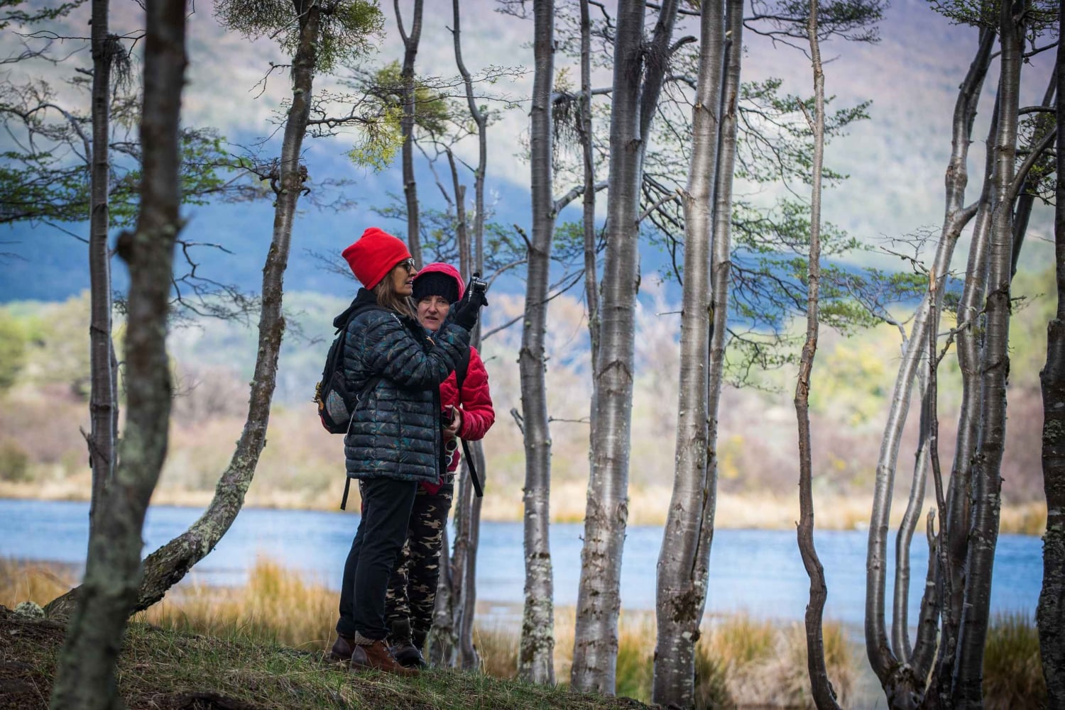 Ushuaia: Eldslandets nationalpark