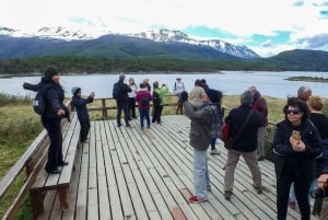 Ushuaia: Tierra del Fuego National Park