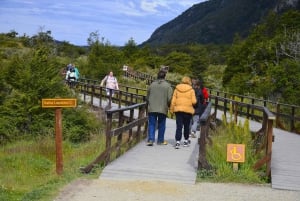 Ushuaia: Tierra del Fuego National Park