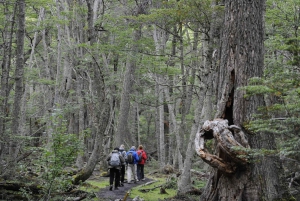 Ushuaia: Tierra del Fuego Trekking e Canoagem