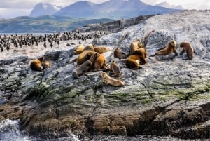 Ushuaia: Tour: Beagle Channel Navigation