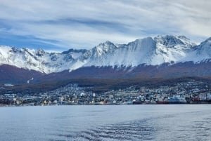 Ushuaia: Tour: Beagle Channel Navigation