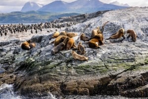 Ushuaia: Tour: Navigatie op het Beaglekanaal