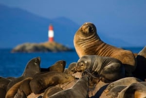 Ushuaia: Tour to Lobos Island with Beagle Channel Trekking