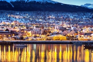Ushuaia: Tour to Lobos Island with Beagle Channel Trekking