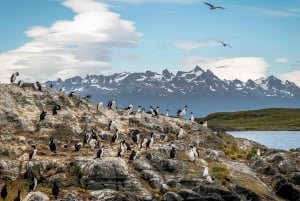 Ushuaia: Two-Day Trip to Tierra del Fuego & Beagle Channel