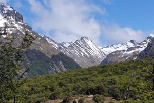 Ushuaia: Vinciguerra Glacier and Laguna de los Témpanos Trekking