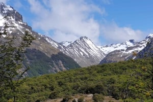 Ushuaia: Trektocht op de gletsjer van Vinciguerra en de ijsbergenlagune