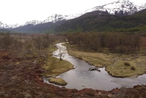 Ushuaia: Trektocht op de gletsjer van Vinciguerra en de ijsbergenlagune