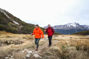 Ushuaia: Trektocht op de gletsjer van Vinciguerra en de ijsbergenlagune
