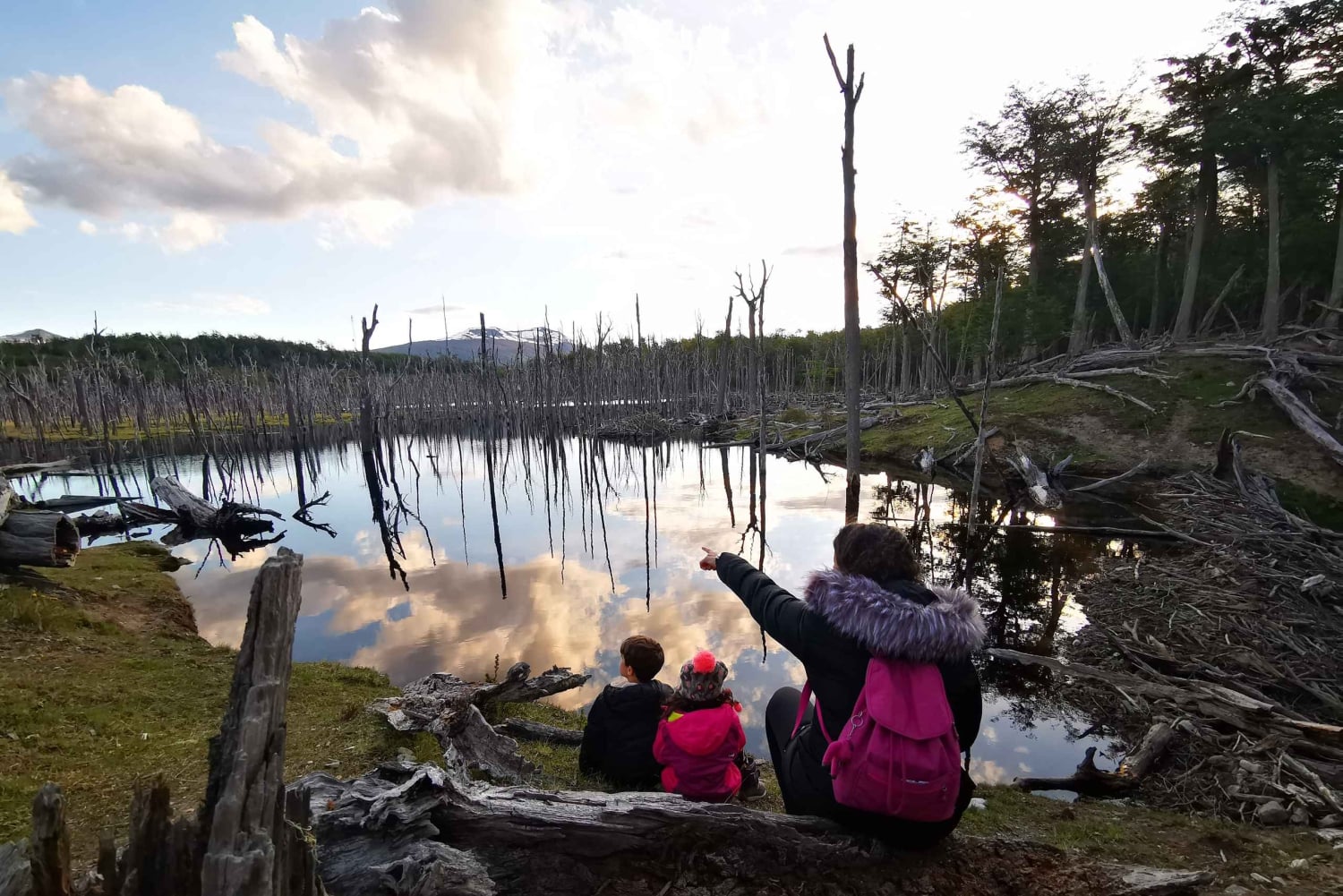 Ushuaia: Visita a los lagos Escondido y Fagnano PM