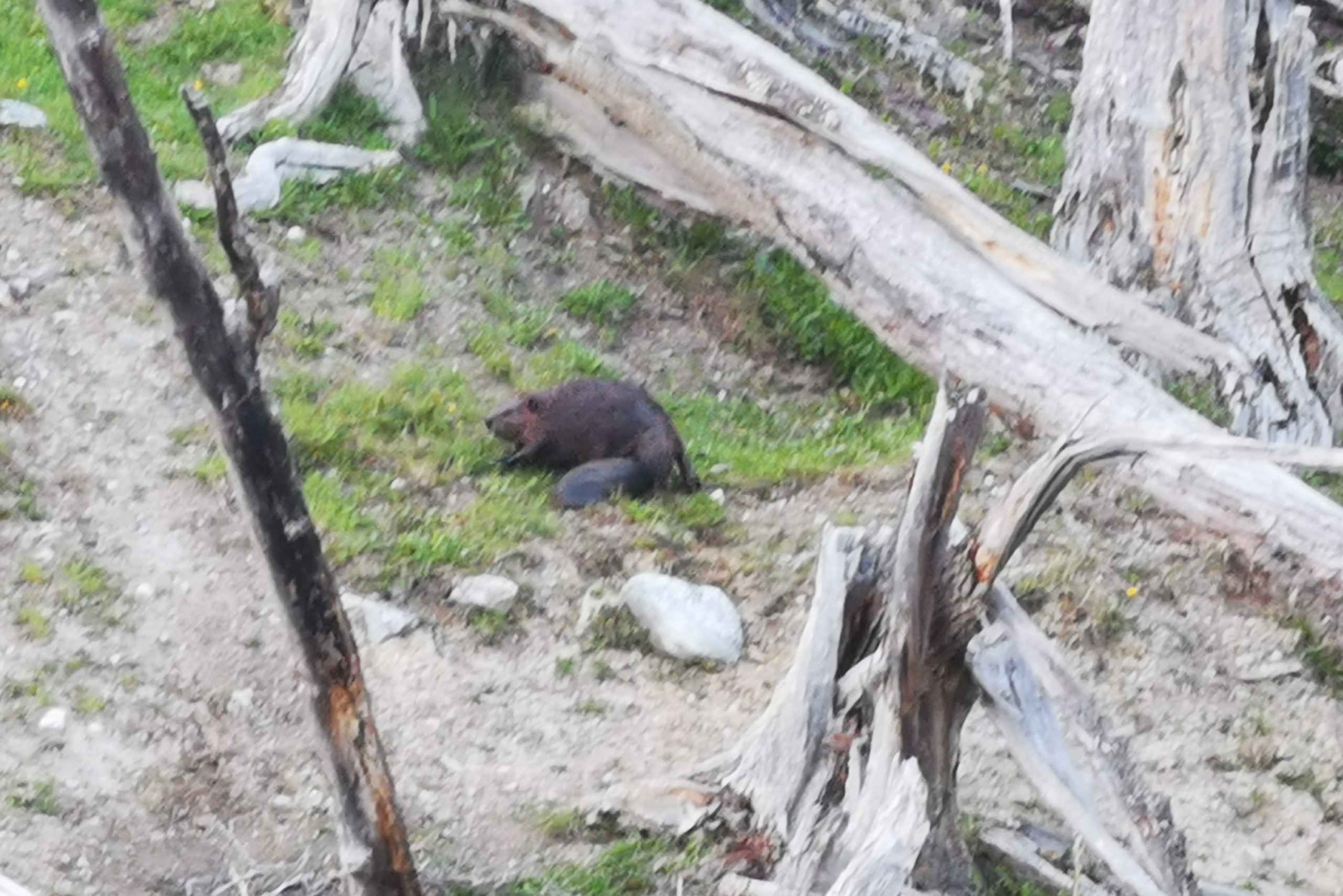 Ushuaia: Visita a los lagos Escondido y Fagnano PM