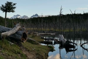 Ushuaia: Visita a los lagos Escondido y Fagnano PM