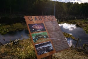 Ushuaia: Visita a los lagos Escondido y Fagnano PM