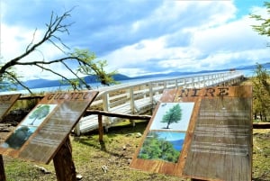 Ushuaia: Visita a los lagos Escondido y Fagnano PM