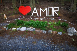 Ushuaia: Visita a los lagos Escondido y Fagnano PM