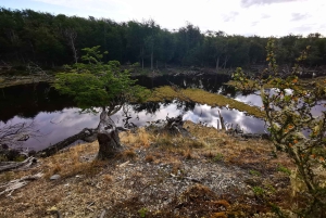 Ushuaia: Visita a los lagos Escondido y Fagnano PM
